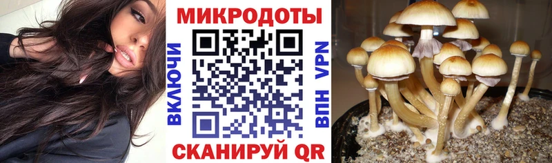 купить наркотик  Ряжск  Галлюциногенные грибы Magic Shrooms 